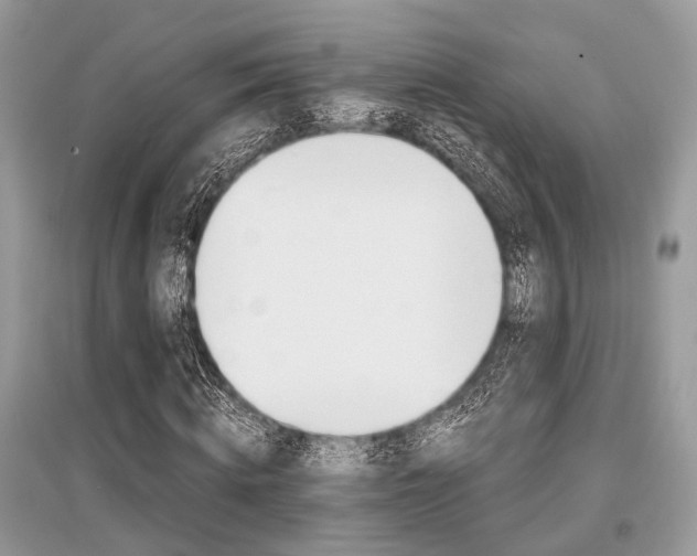 X0000096380820200801241001