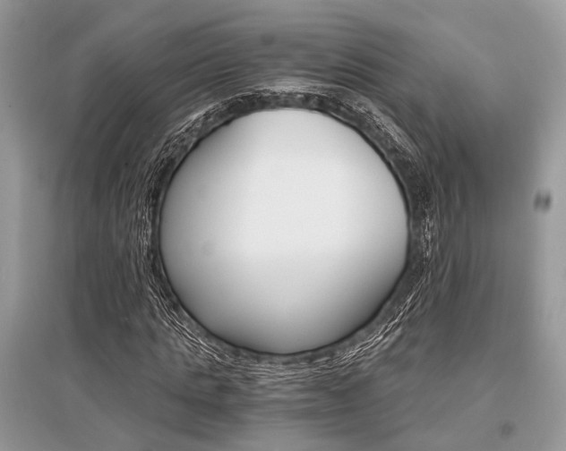 X0000096380821200801241001