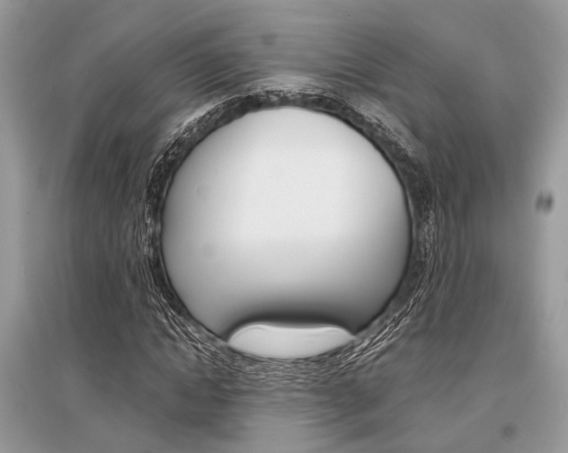 X0000096380822200801241001
