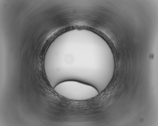X0000096380823200801241001