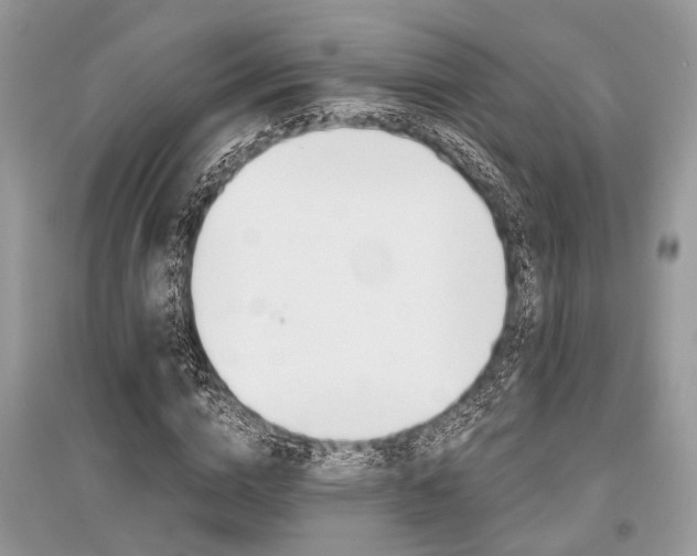 X0000096380824200801241001