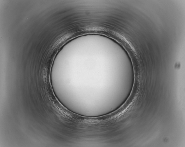 X0000096380825200801241001