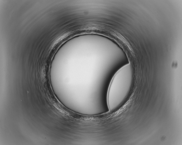 X0000096380826200801241001
