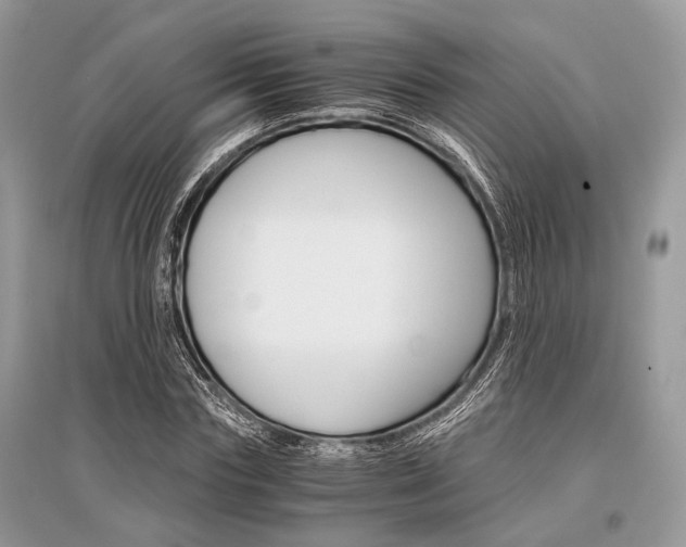 X0000096380827200801241001