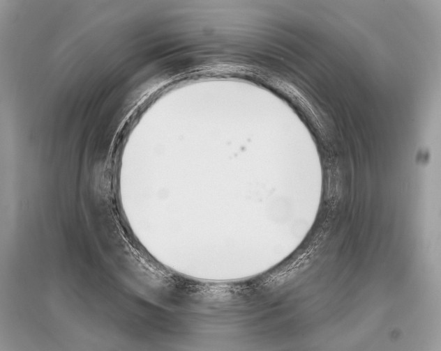 X0000096380828200801241001