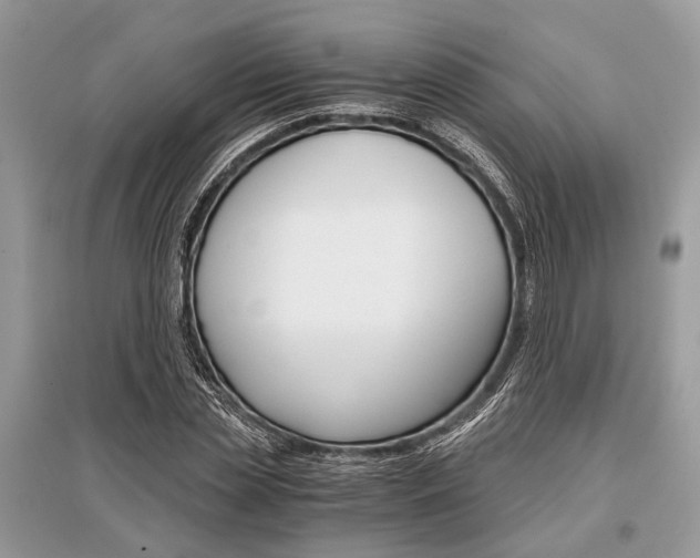 X0000096380829200801241001