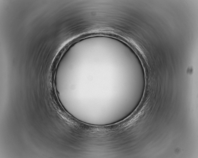 X0000096380830200801241001