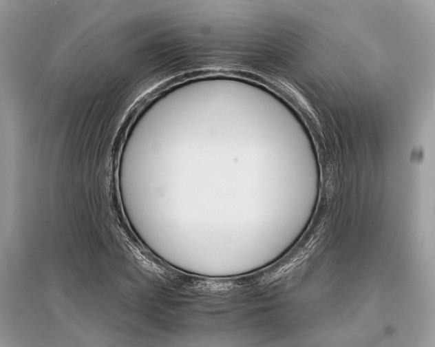 X0000096380831200801241001