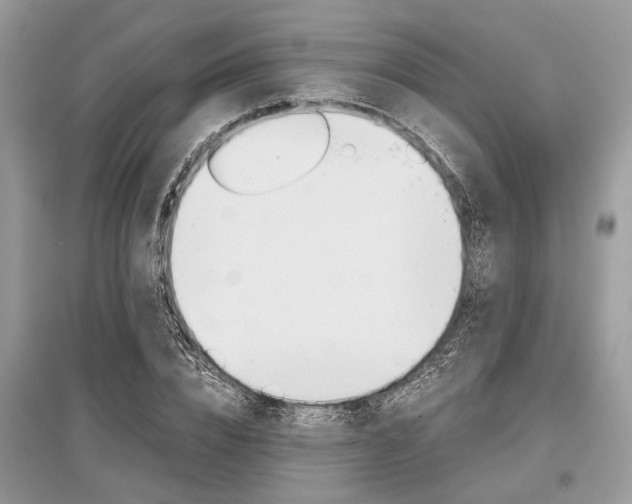 X0000096380832200801241001