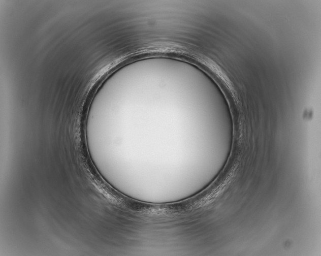 X0000096380834200801241001