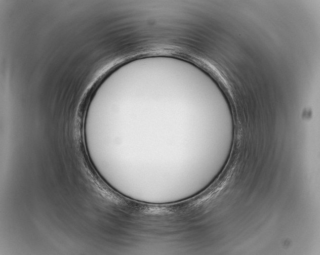 X0000096380835200801241001