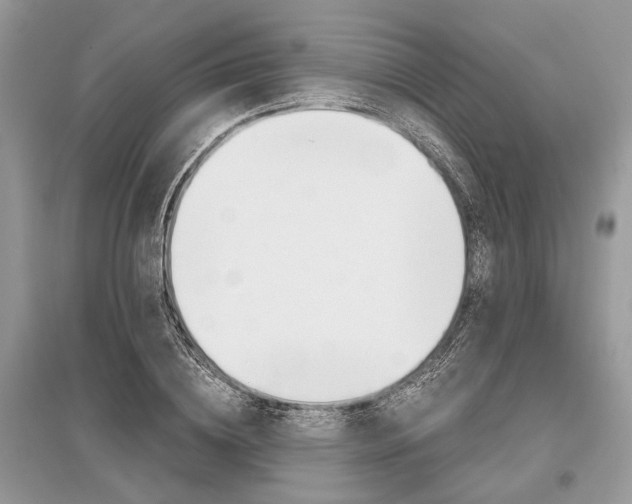 X0000096380836200801241001