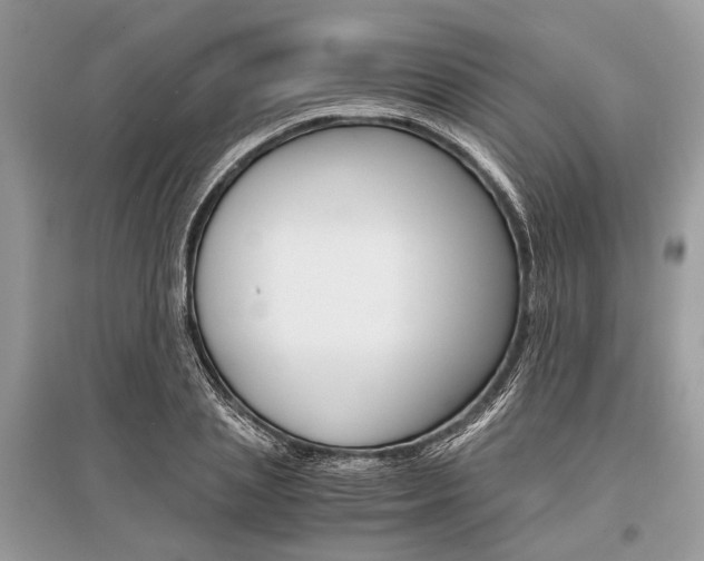X0000096380837200801241001