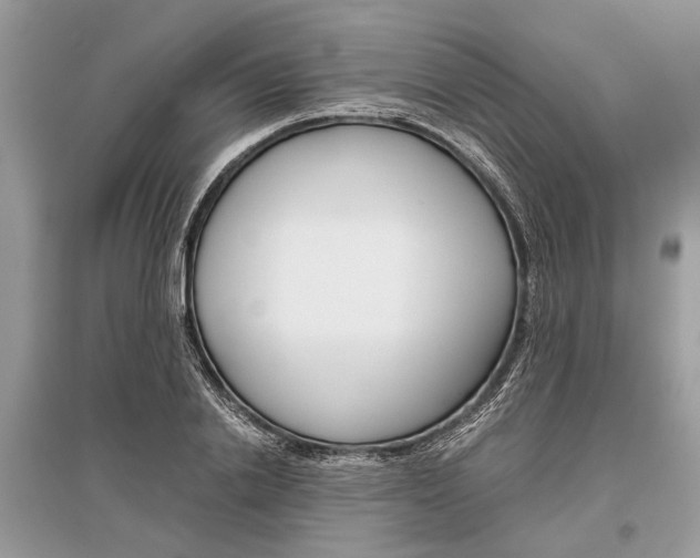 X0000096380838200801241001