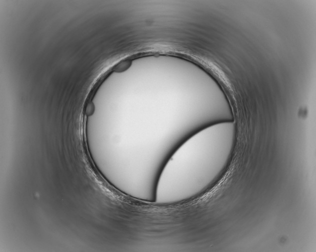 X0000096380839200801241001