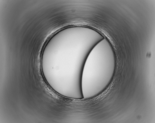 X0000096380840200801241001