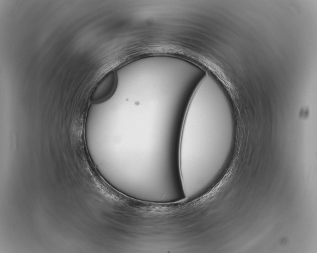 X0000096380841200801241001