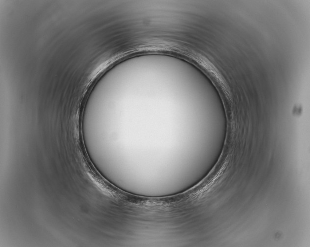 X0000096380842200801241001