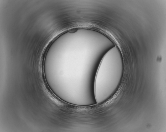 X0000096380843200801241001