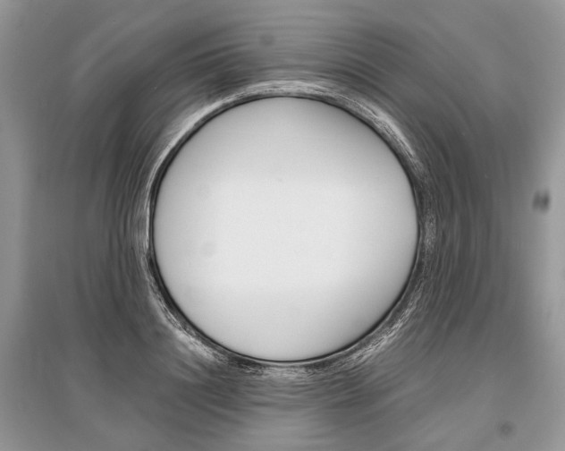 X0000096380844200801241001