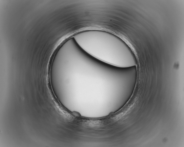 X0000096380845200801241001
