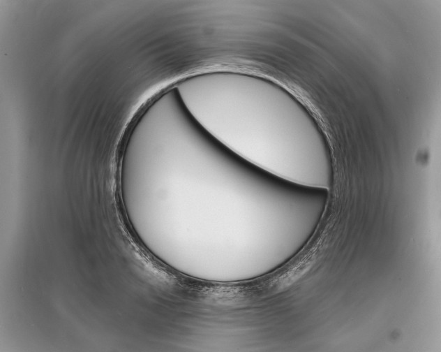 X0000096380846200801241001