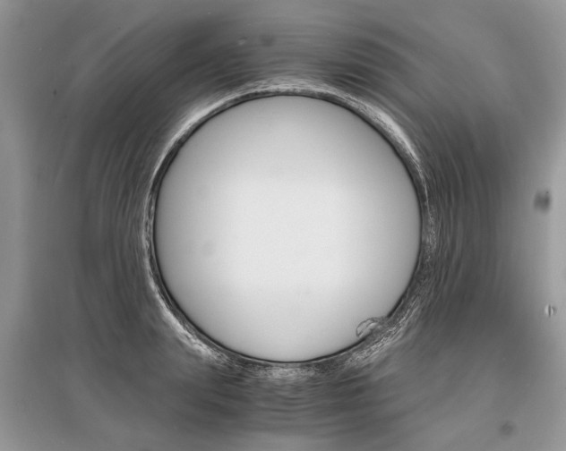 X0000096380847200801241001