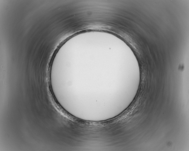 X0000096380848200801241001