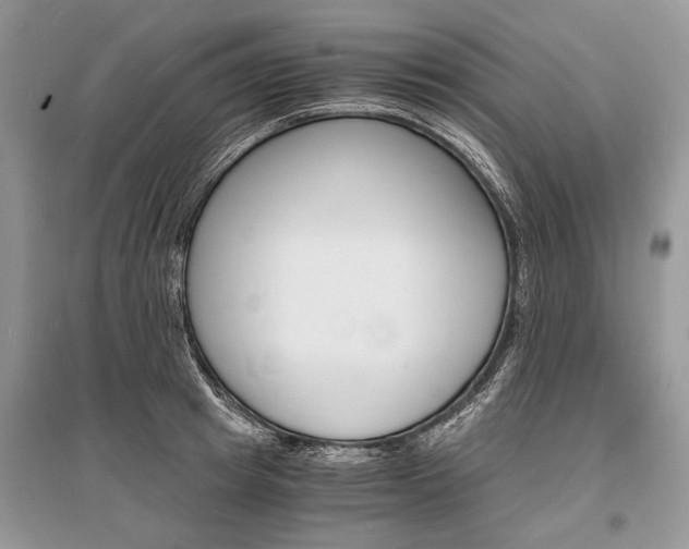X0000096380849200801241001
