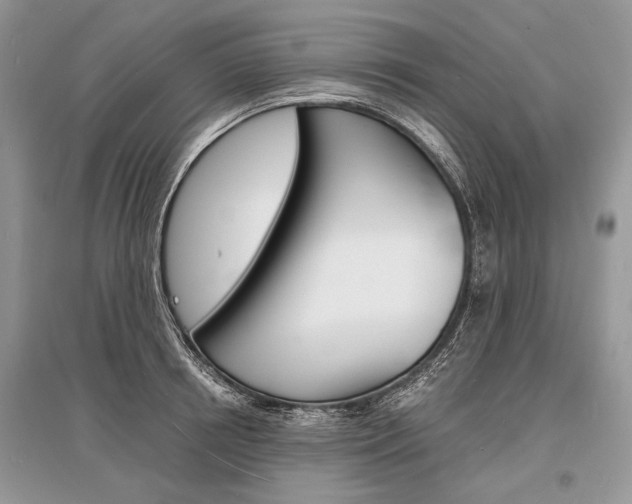 X0000096380850200801241001