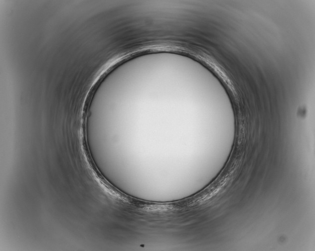 X0000096380853200801241001