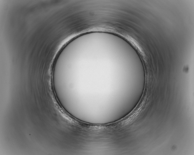 X0000096380854200801241001
