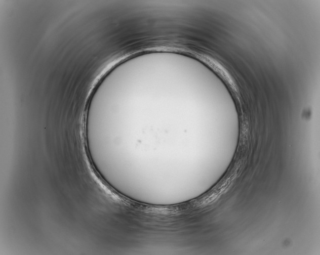 X0000096380855200801241001