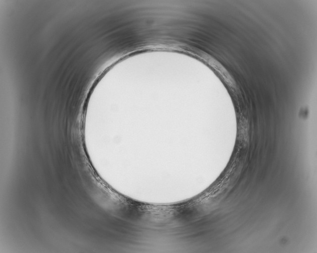 X0000096380856200801241001