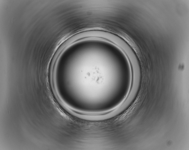 X0000096380858200801241001