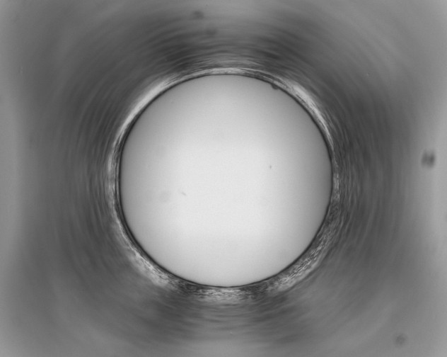 X0000096380859200801241001