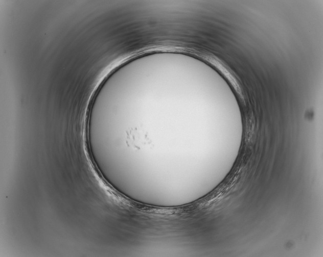 X0000096380861200801241002