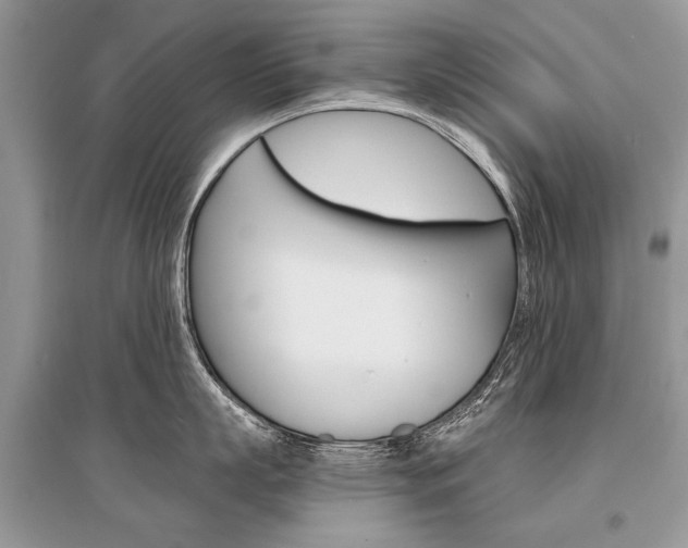 X0000096380863200801241002