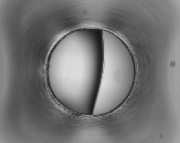 X0000096380864200801241002