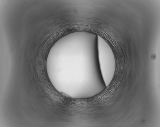 X0000096380865200801241001