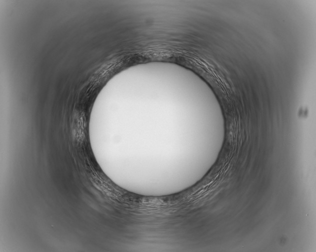 X0000096380866200801241001