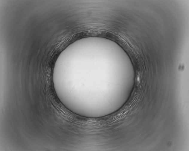 X0000096380867200801241001