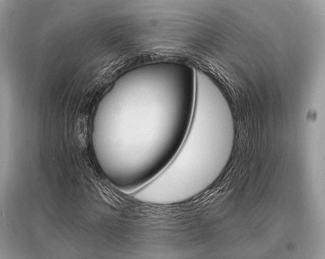 X0000096380868200801241001