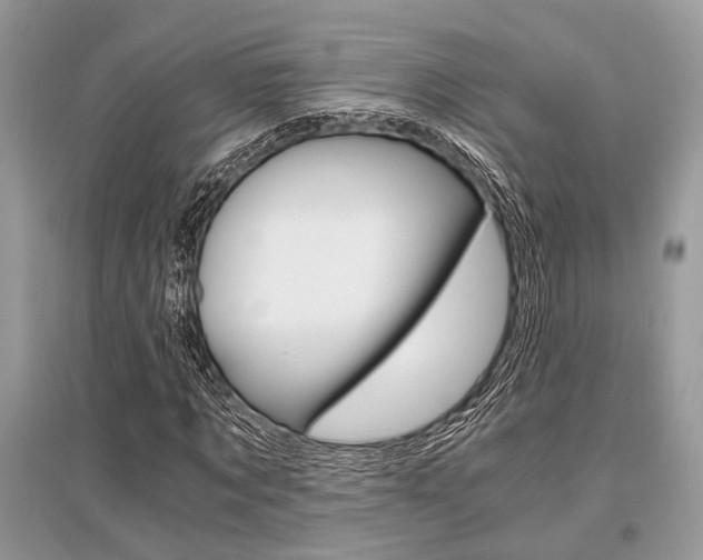 X0000096380869200801241001