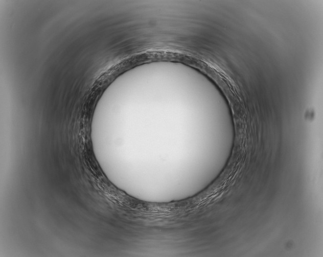 X0000096380870200801241001