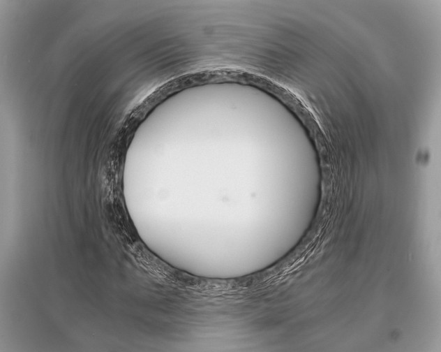 X0000096380871200801241001