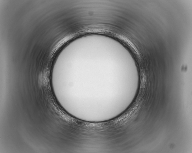 X0000096380874200801241001