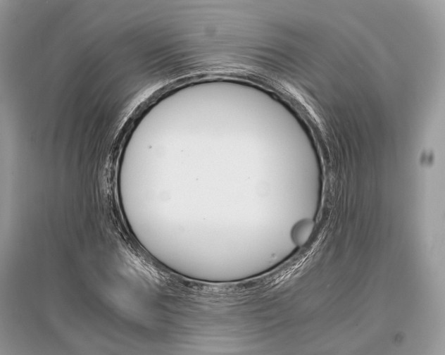 X0000096380875200801241001