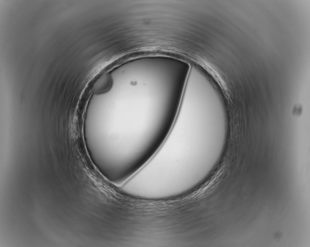 X0000096380876200801241001