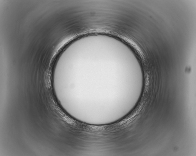 X0000096380878200801241001